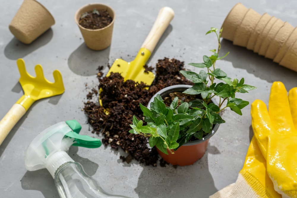 Découvrez comment l'entretien de votre jardin peut vous aider à vendre